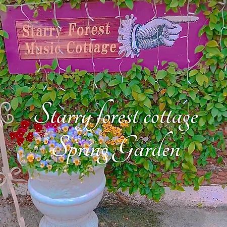 Cats,Piano & Starry Sky Resort Garden -Starry Forest Cottage Okinawa- Onna Zewnętrze zdjęcie