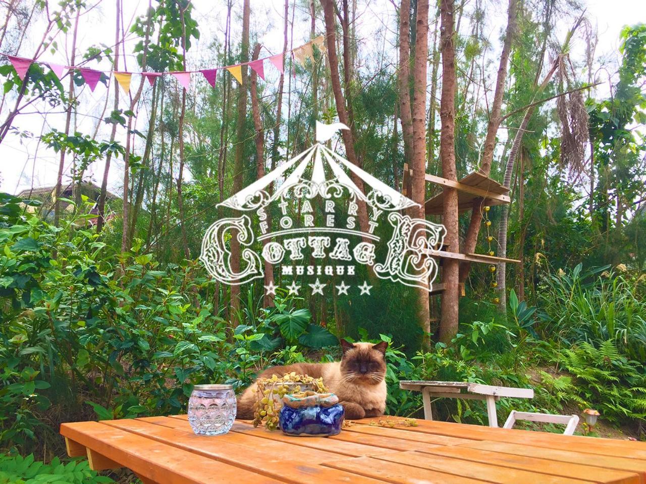 Cats,Piano & Starry Sky Resort Garden -Starry Forest Cottage Okinawa- Onna Zewnętrze zdjęcie